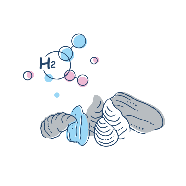 本物の漢方薬になる風化貝カルシウム